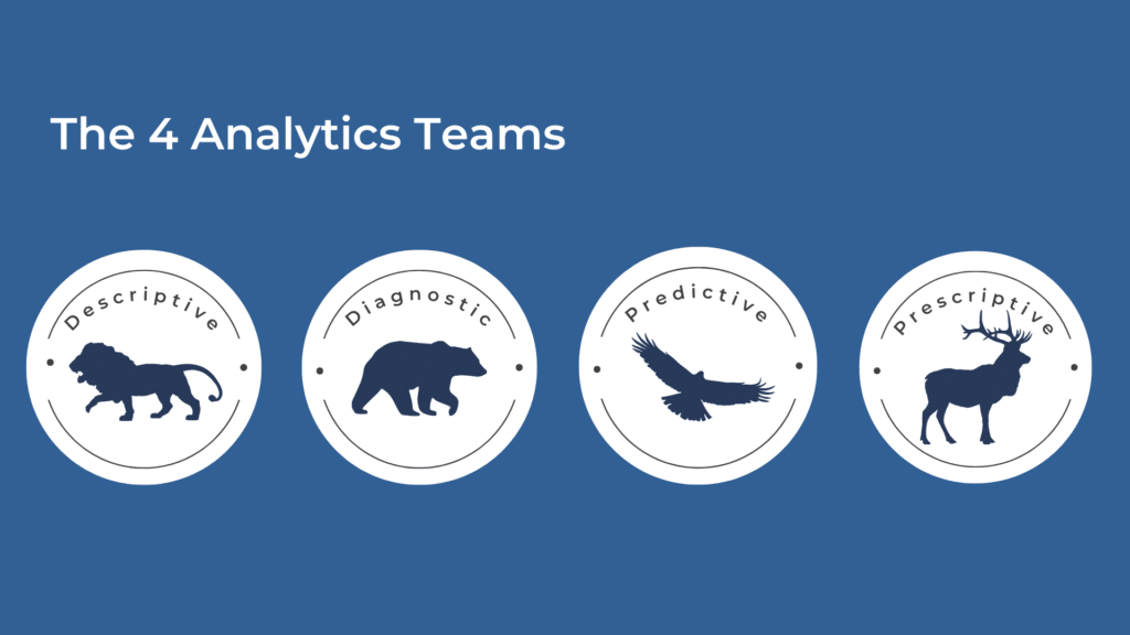 4 types of analytics teams