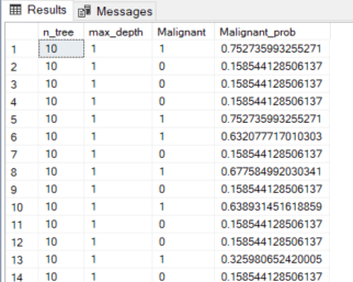 This table has the parameter values, the actual result for each row (Malignant), and the model output as a probability (Malignant_prob).